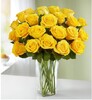 24 Yellow Roses in a Vase